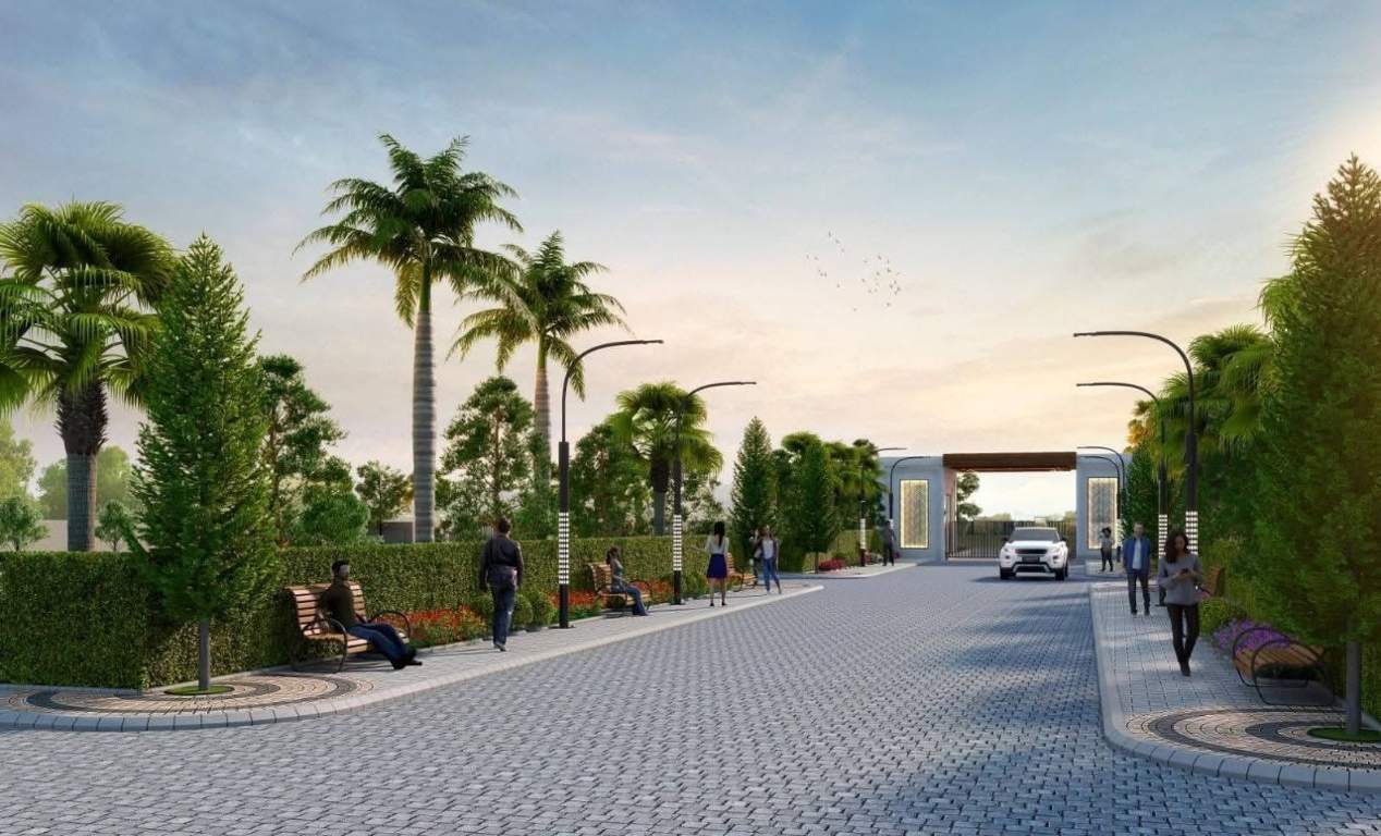  kunj vihar i Plot