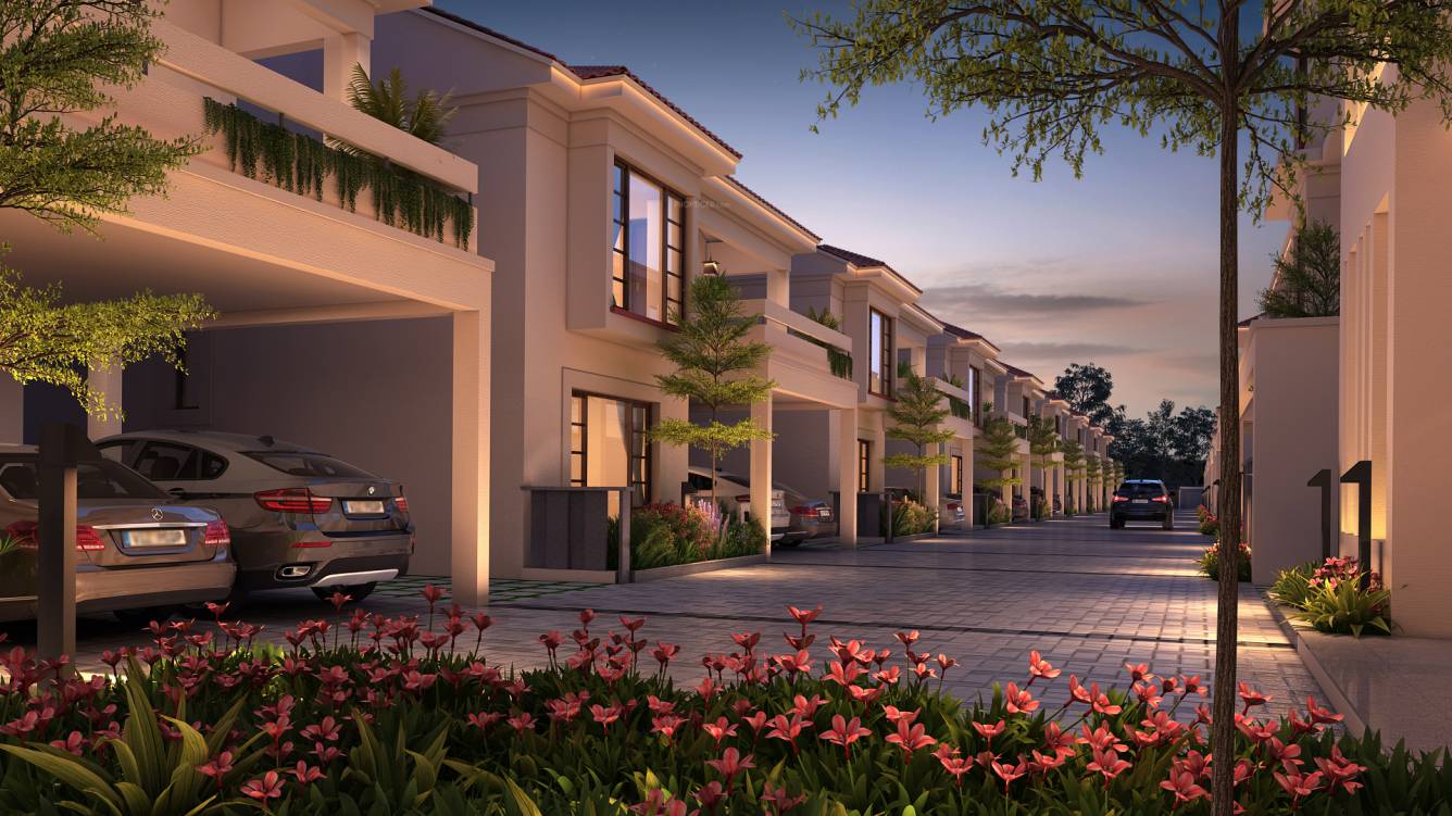  central 16 Elevation