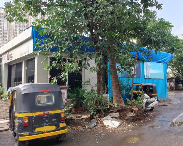  krystel Krystel Construction Status Dec-24