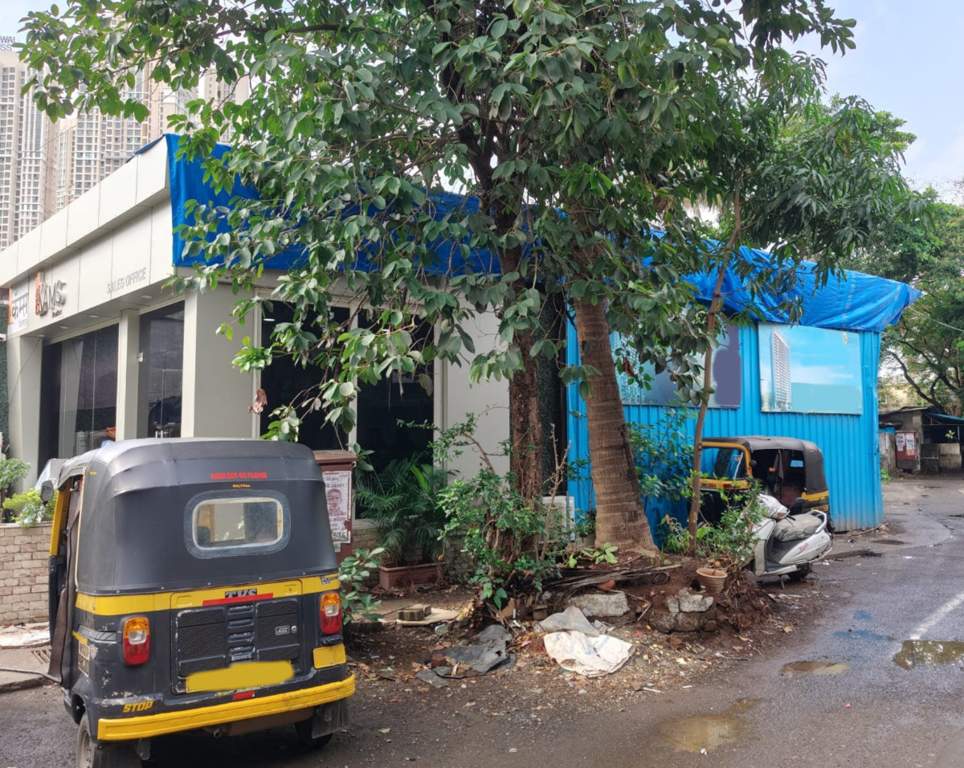  krystel Krystel Construction Status Dec 24