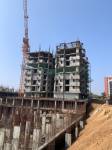  sandalwood D Construction Status July-25