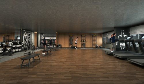  sandalwood Gymnasium