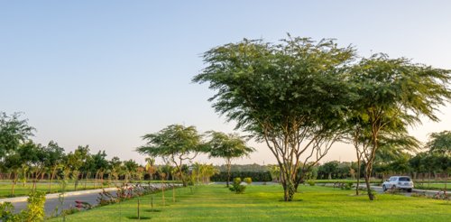 brookside-valley Landscape Garden and Tree Planting