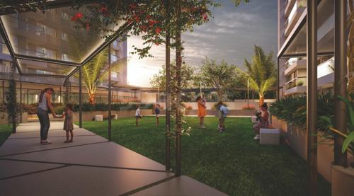  the-skygaze Landscape Garden and Tree Planting