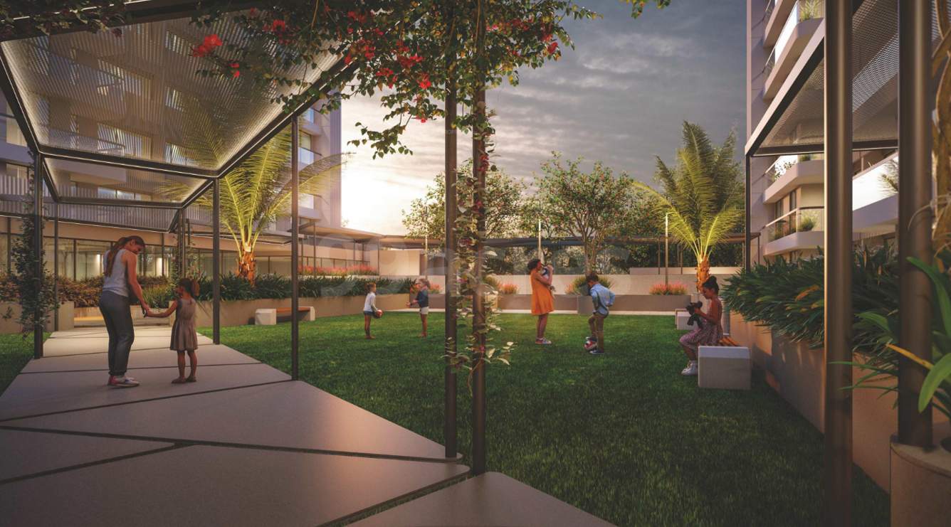  the skygaze Landscape Garden and Tree Planting