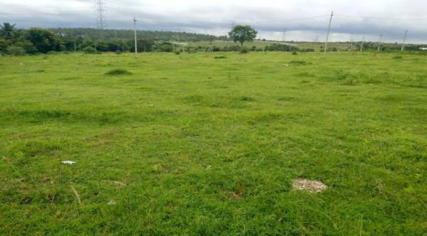  silicon-valley Elevation