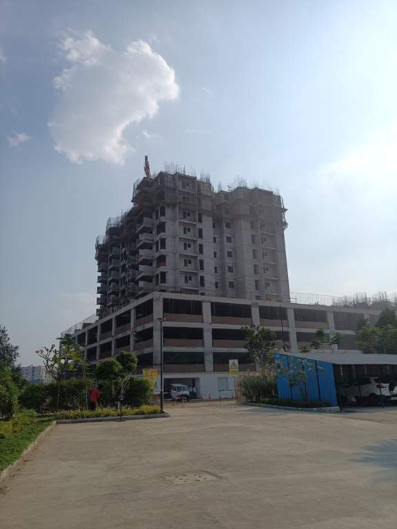  the world of joy Construction Status March 24