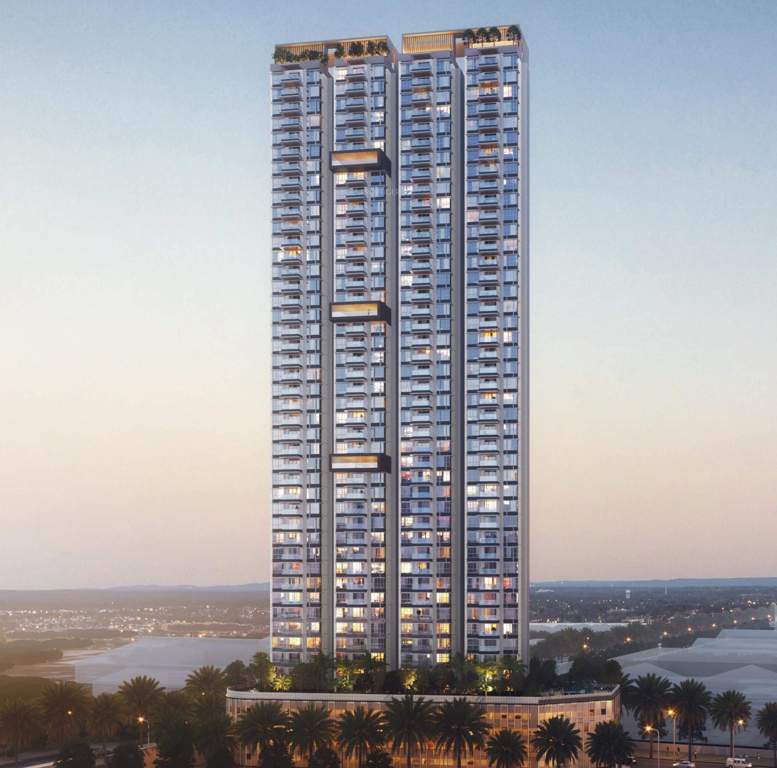  the world of joy Elevation