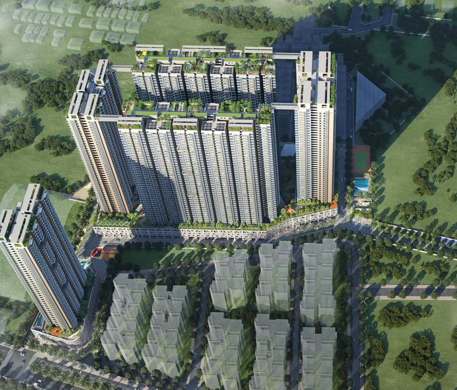  the world of joy Elevation