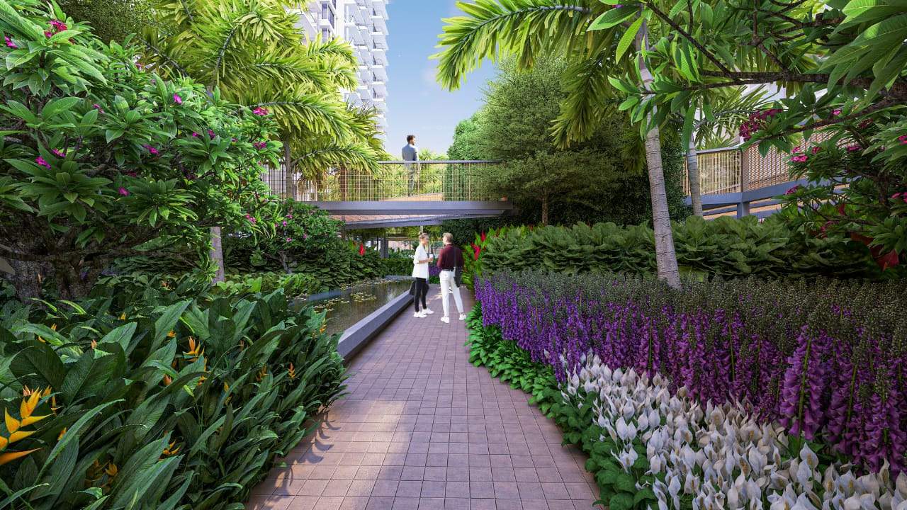  the world of joy Landscape Garden and Tree Planting