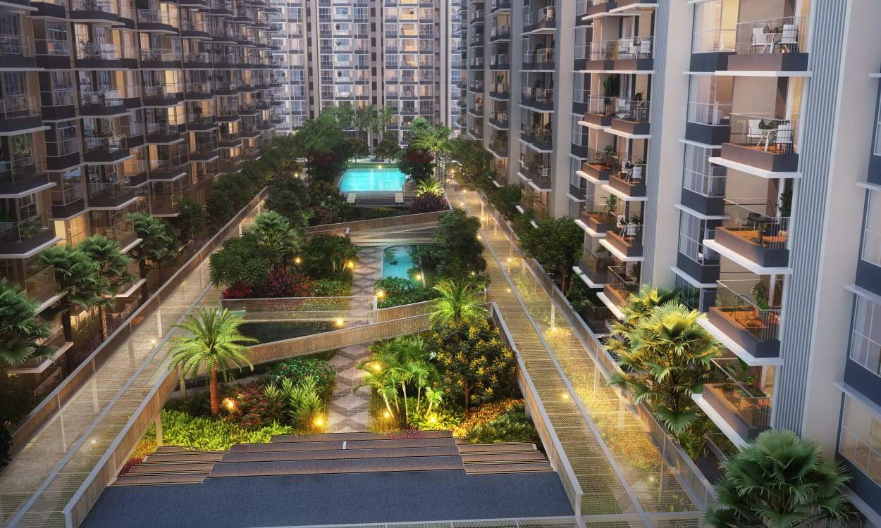  the world of joy Others