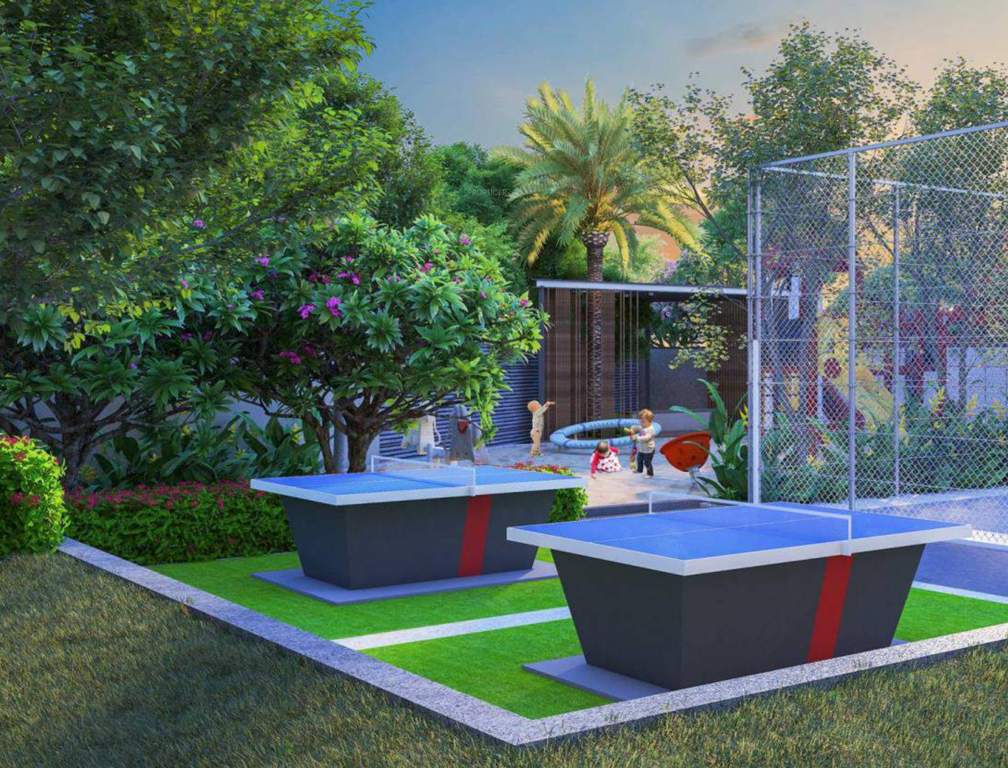  the world of joy Others