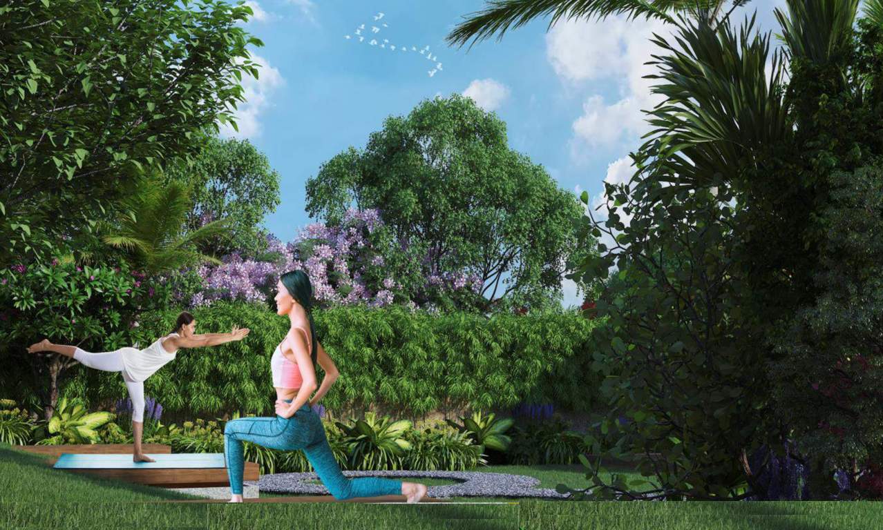  the world of joy Yoga/Meditation Area