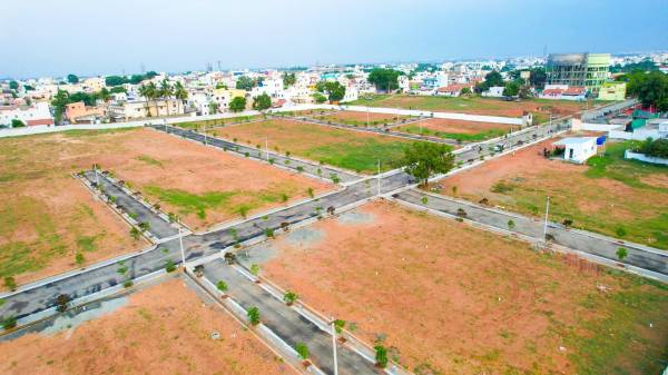  olive-garden Elevation