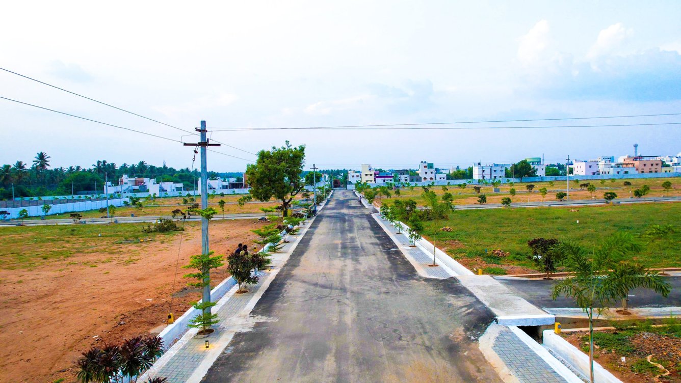  olive garden Internal Roads