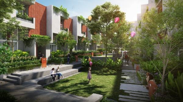  saffron-skies Amphitheater