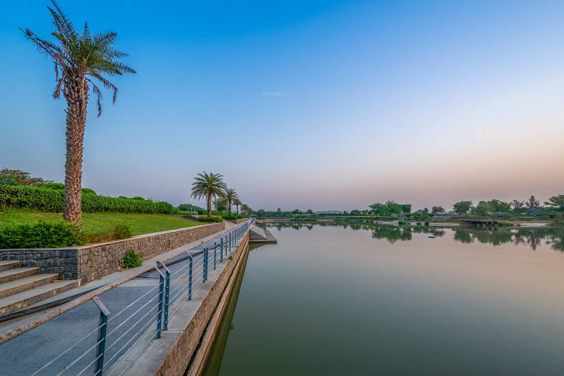 dream city ludhiana Others