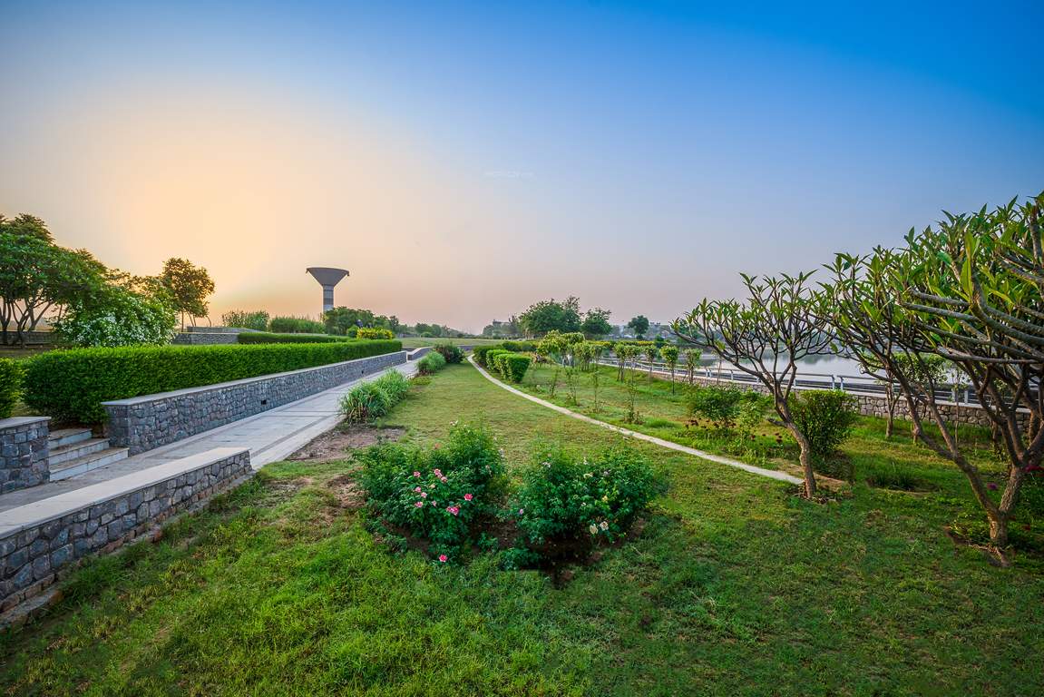 dream city ludhiana Others