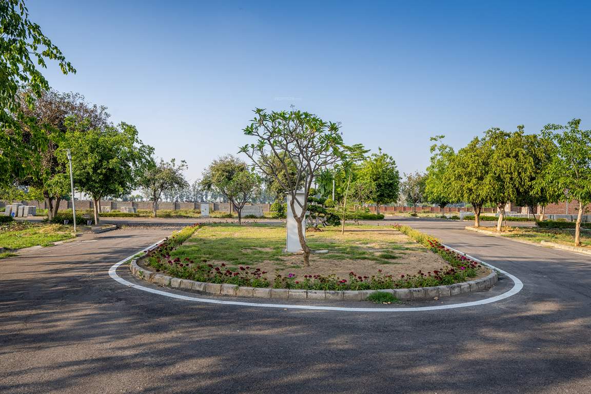 dream city ludhiana Others