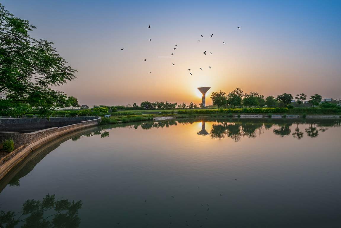 dream city ludhiana Others