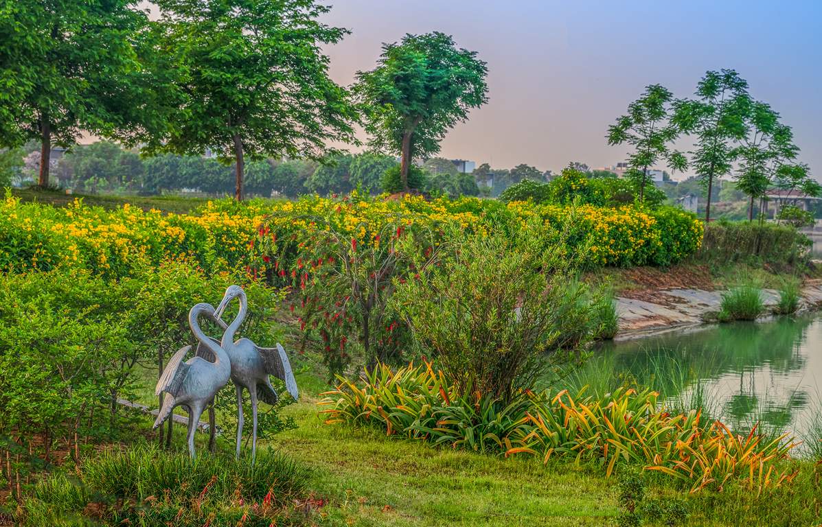 dream city ludhiana Others