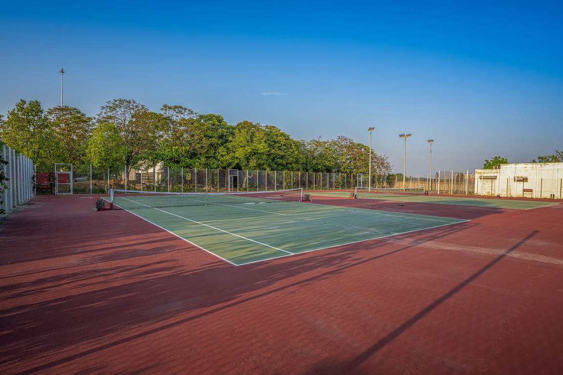 dream city ludhiana Others