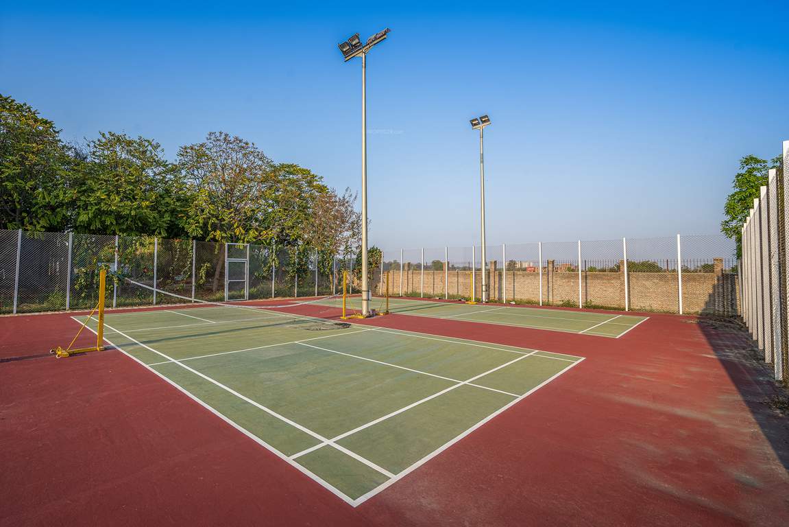 dream city ludhiana Others