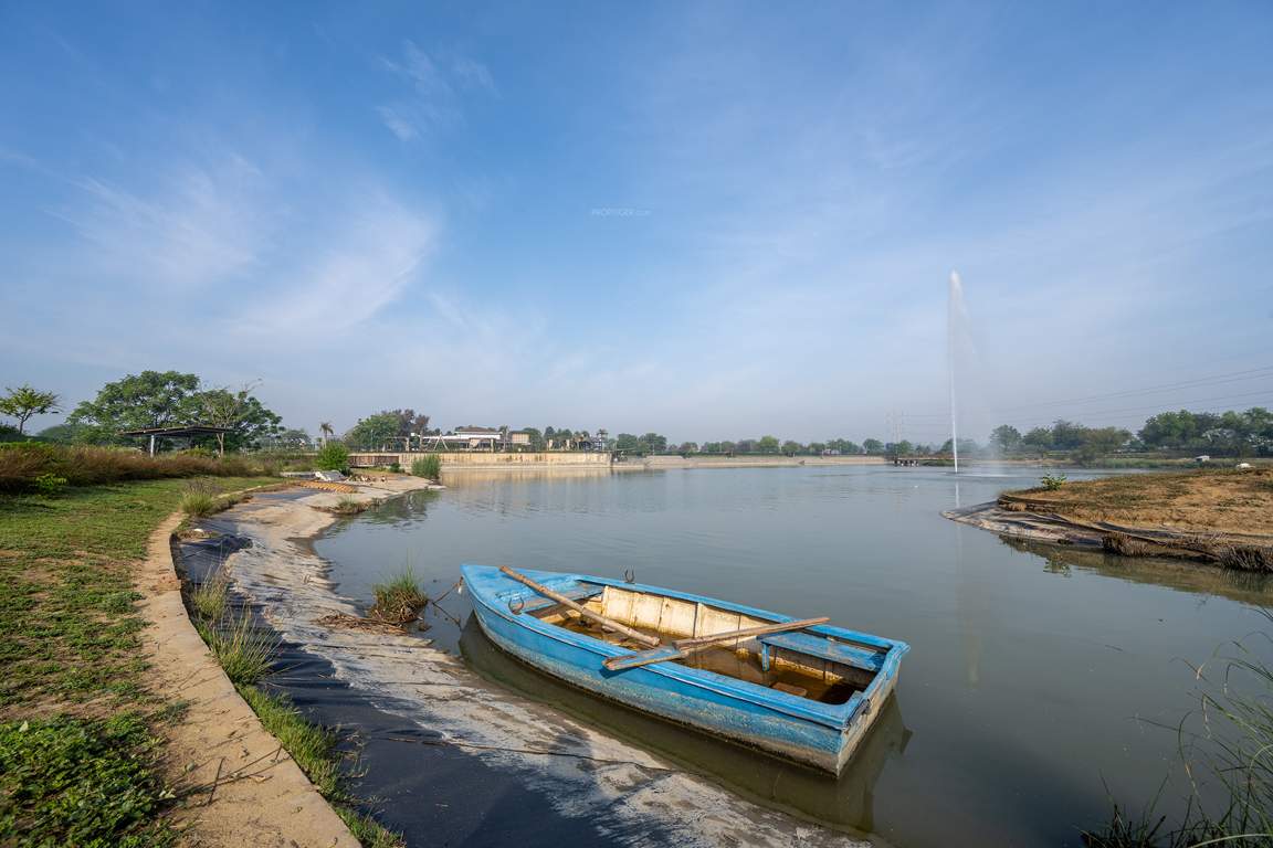 dream city ludhiana Others