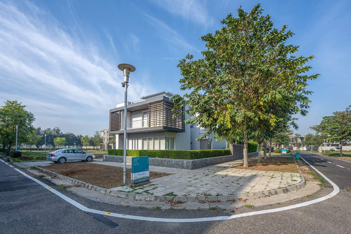 dream city ludhiana Others