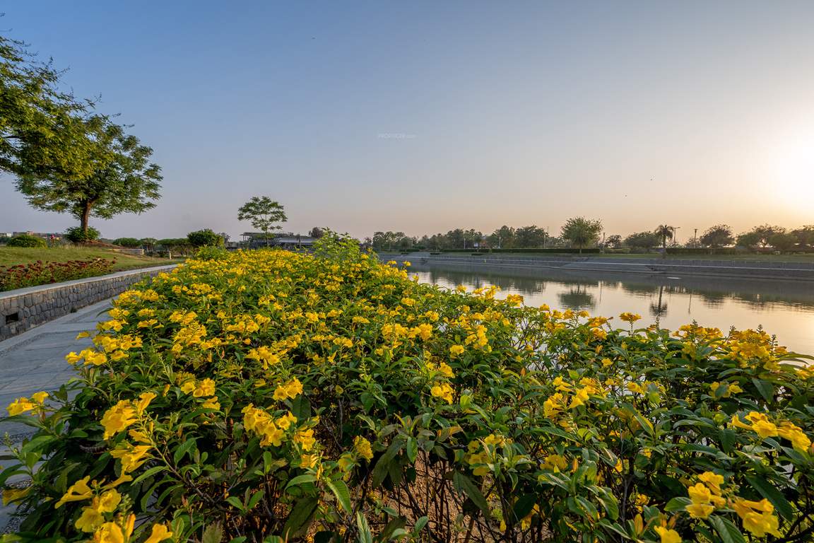 dream city ludhiana Others