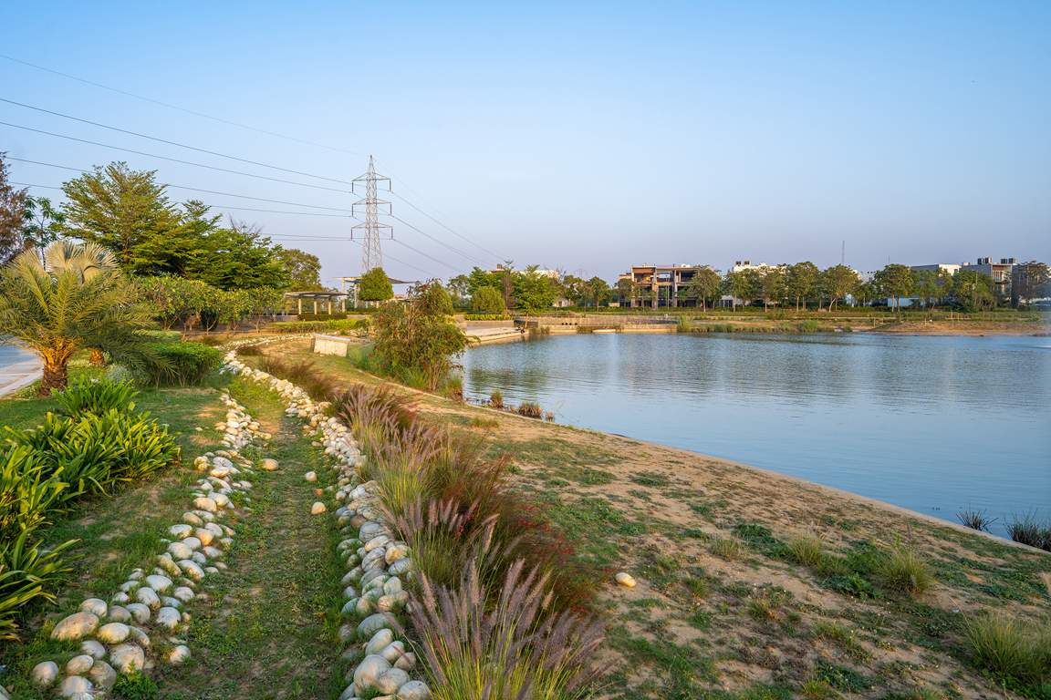 dream city ludhiana Others