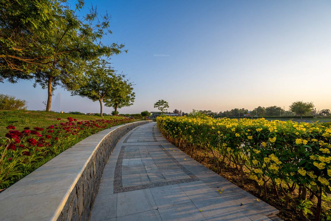 dream city ludhiana Others