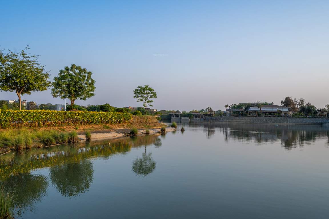 dream city ludhiana Others