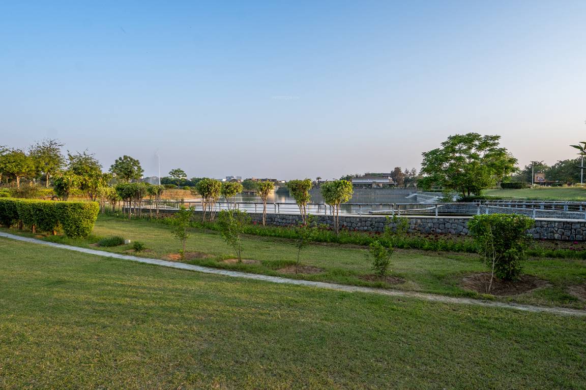 dream city ludhiana Others