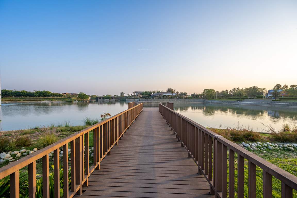 dream city ludhiana Others