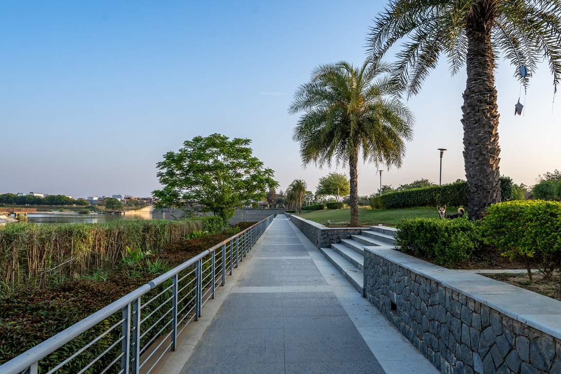 dream city ludhiana Others