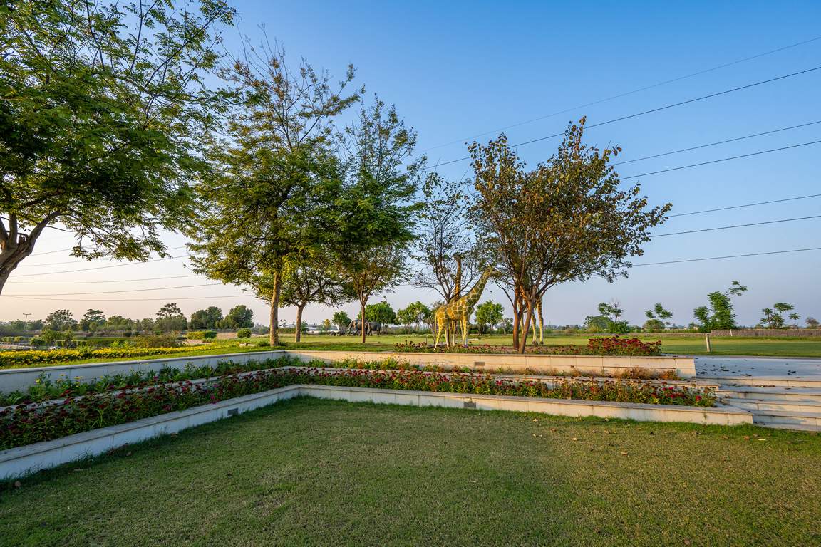 dream city ludhiana Others