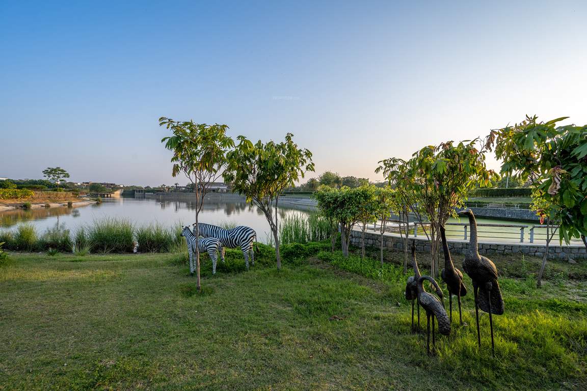 dream city ludhiana Others