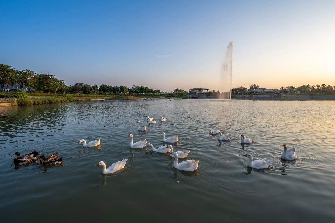 dream city ludhiana Others