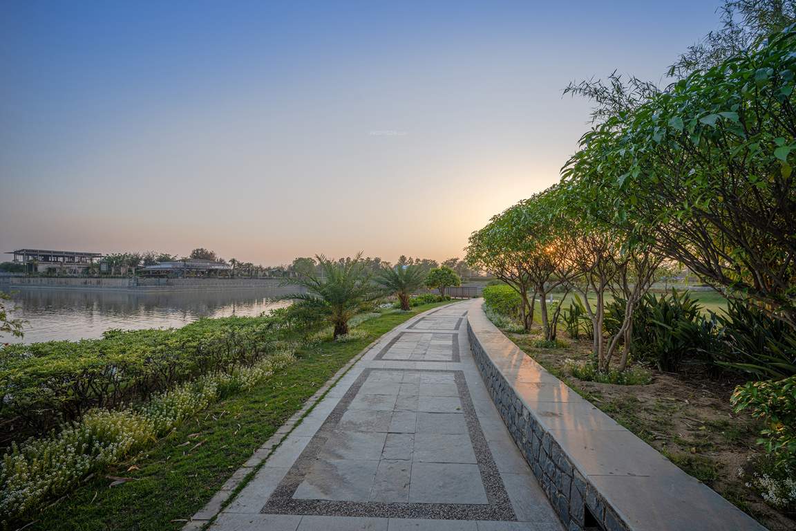 dream city ludhiana Others