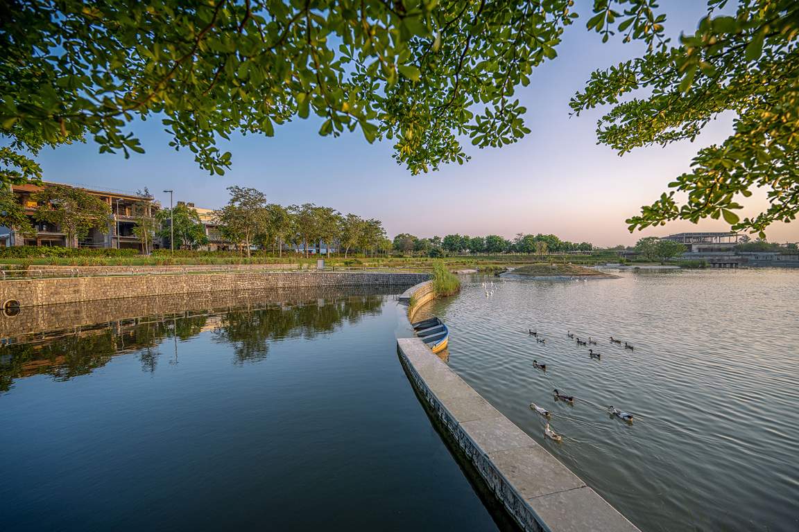 dream city ludhiana Others