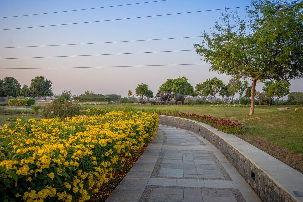 dream city ludhiana Others