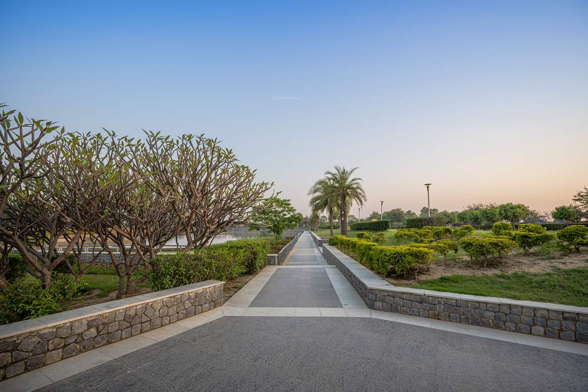 dream city ludhiana Others