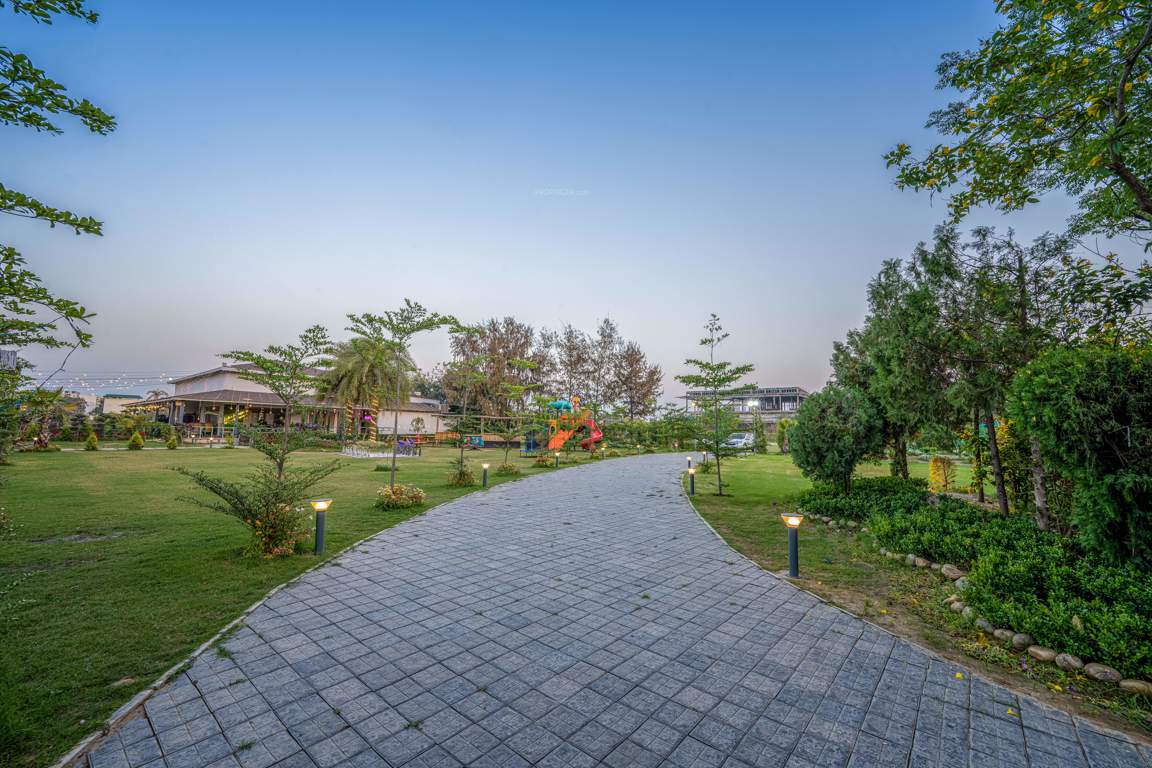 dream city ludhiana Others