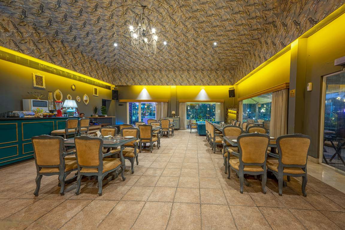 dream city ludhiana Others