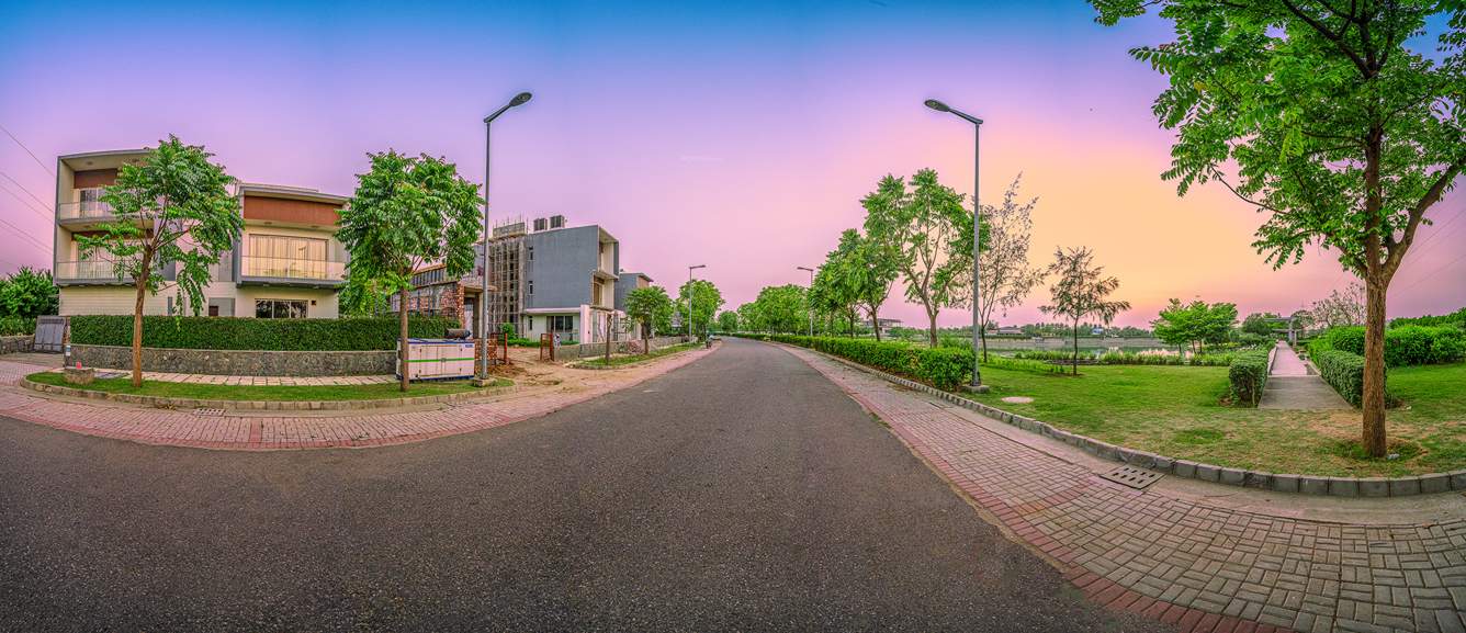 dream city ludhiana Others