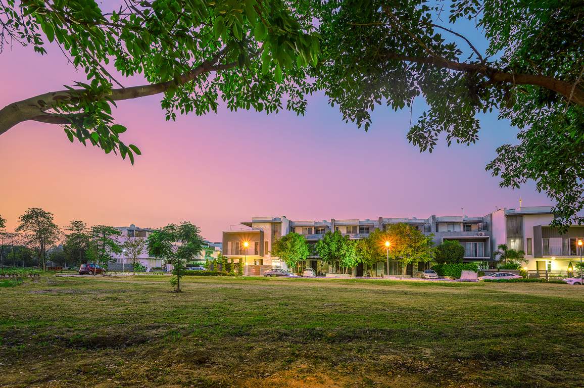 dream city ludhiana Others