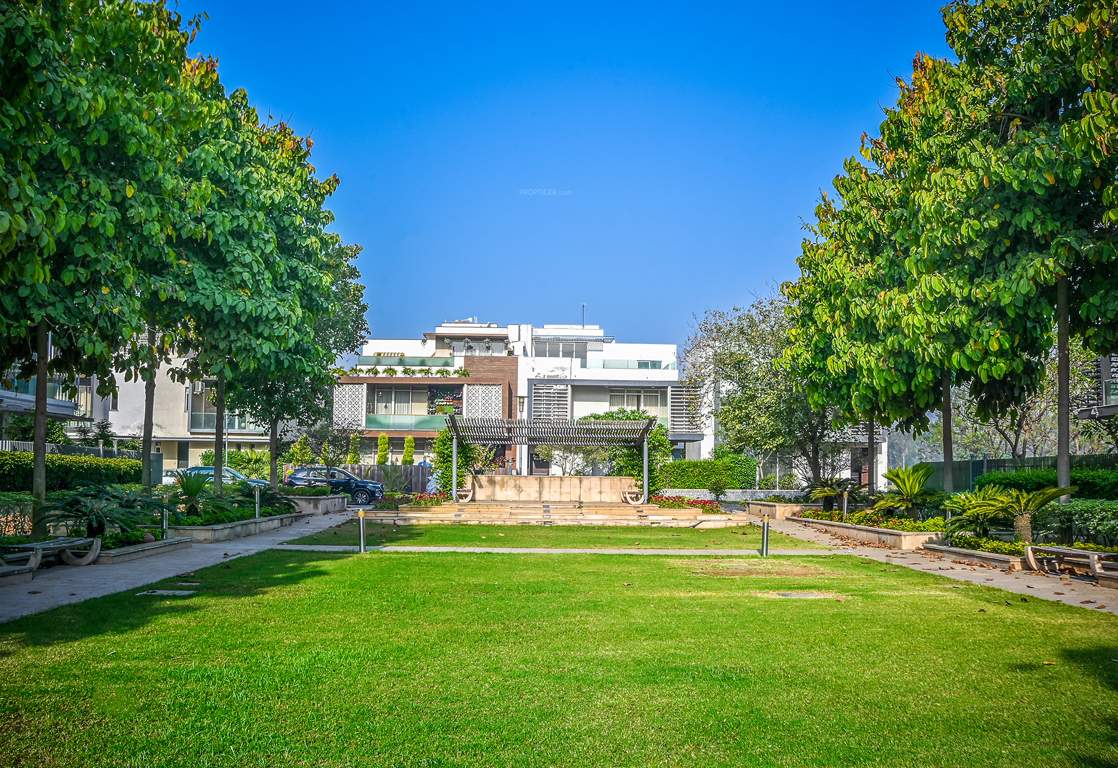 dream city ludhiana Others