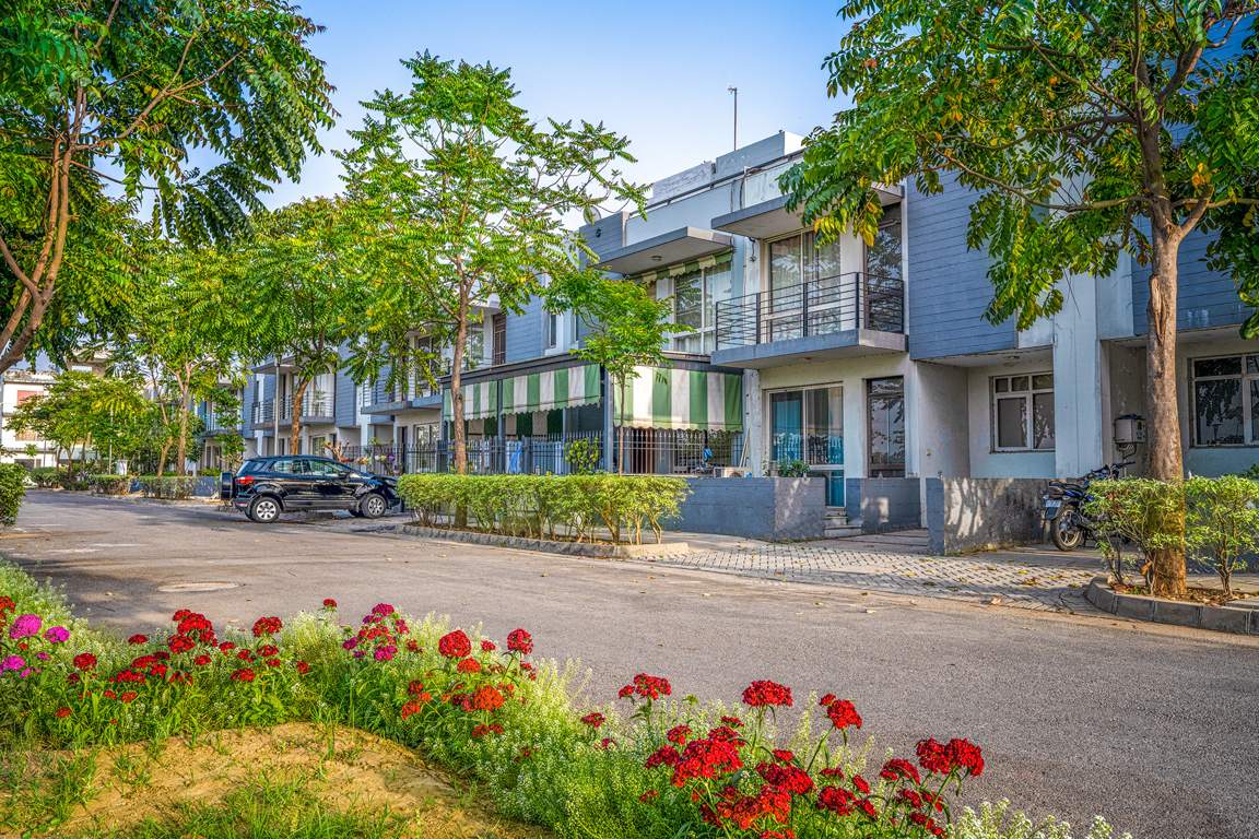 dream city ludhiana Others