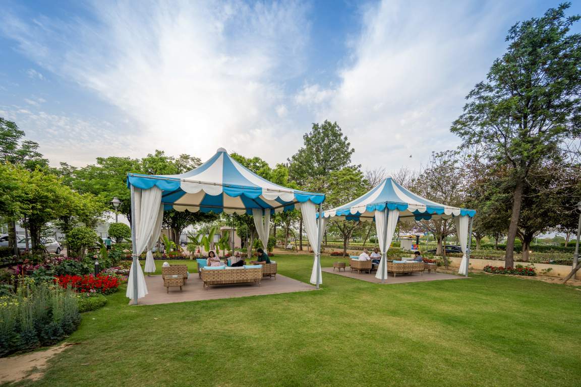 dream city ludhiana Others